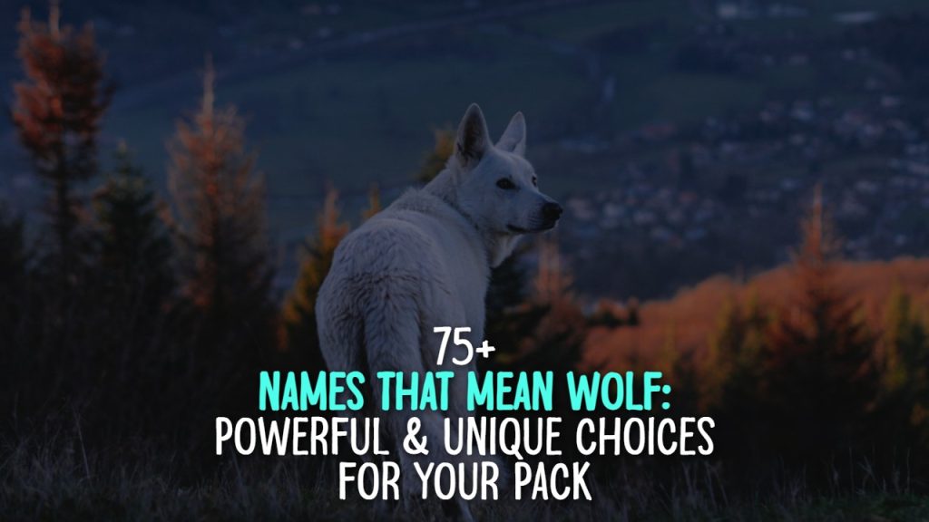 75__names_that_mean_wolf__powerful___unique_choices_for_your_pack