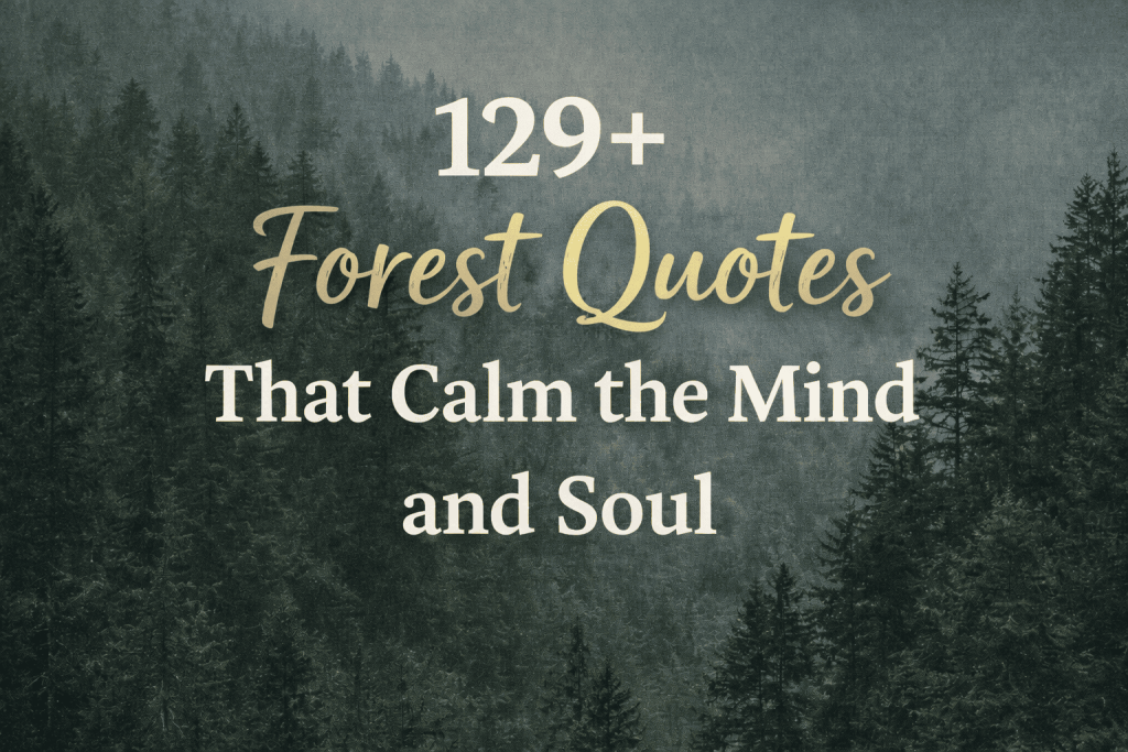 129+ Forest Quotes That Calm the Mind and Soul