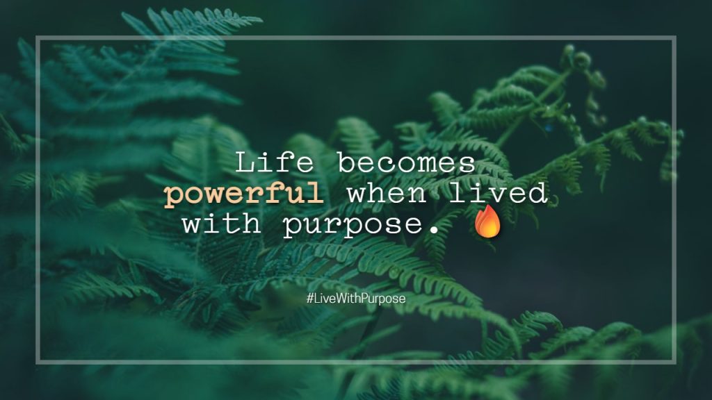 mankind_quotes_about_life_and_values