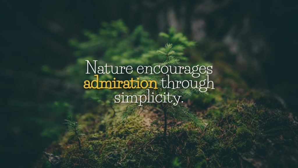quotation_about_nature_beauty